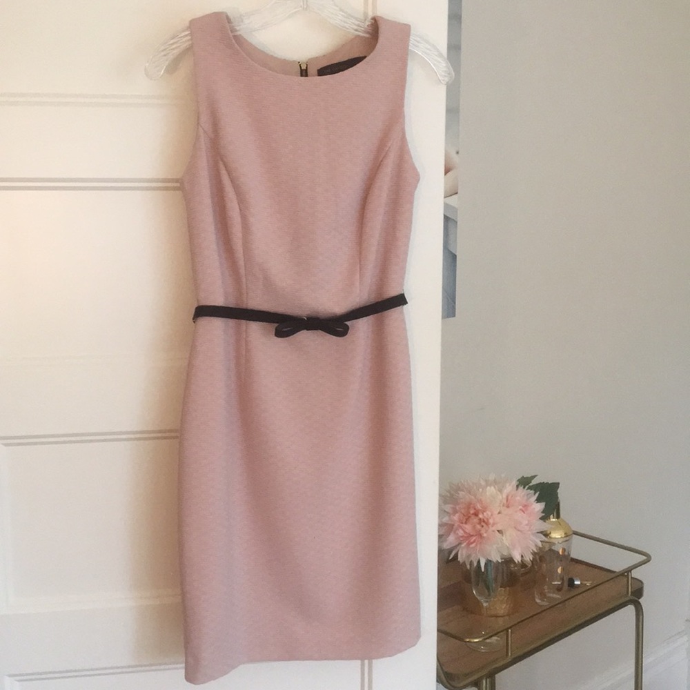 Pale Pink Holiday Dress